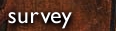Survey